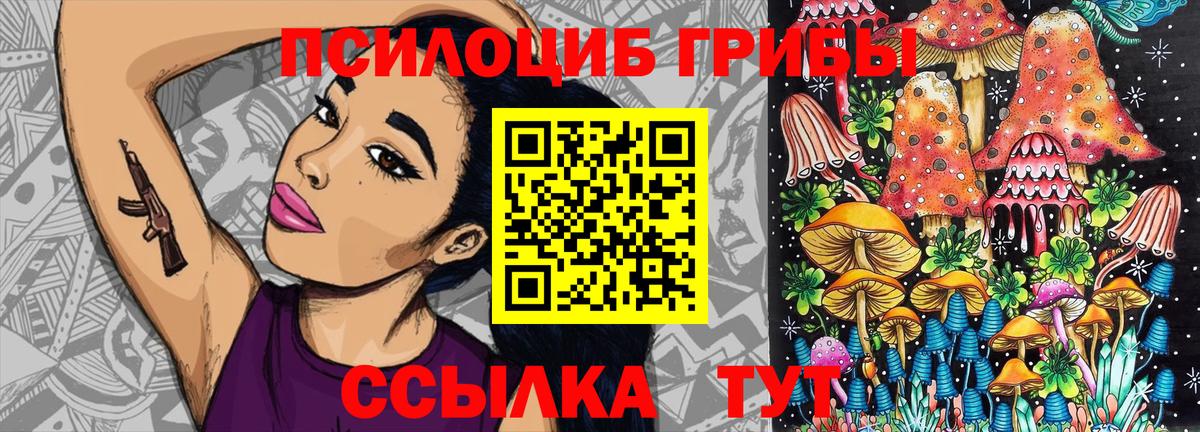 Галлюциногенные грибы мицелий Шатура